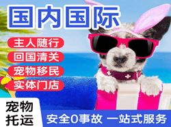 太原机场空运国际宠物托运 【国
